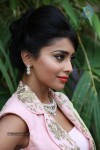 Shriya Latest Stills