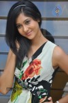 Sindhu Affan Stills