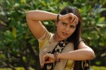Siri Hot Stills