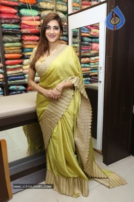 Sita Narayan Gallery