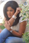 Sowmya New Gallery