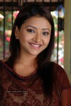 Swetha Basu Prasad Gallery
