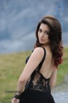 Tamanna Hot Photos