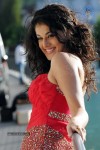Tapsee High Resolution Stills
