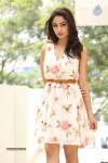 Tridha Choudhury New Gallery