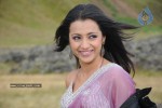 Trisha Latest Stills In Namo Venkatesa