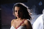 Trisha New Hot Stills