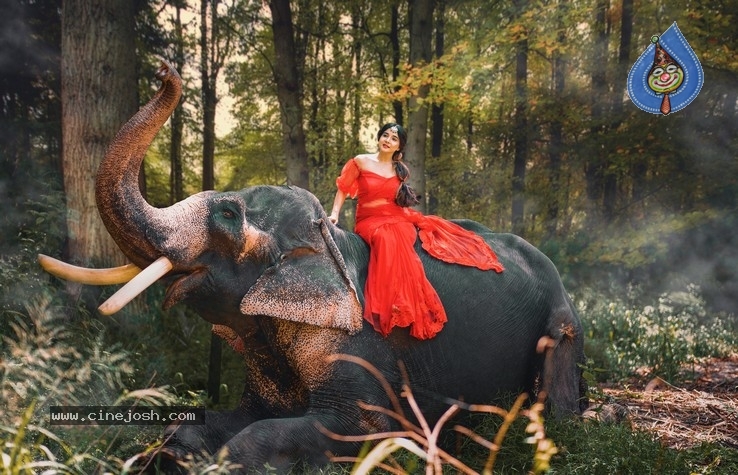 Actress Sakshi Agarwal Photoshoot - 2 / 6 photos