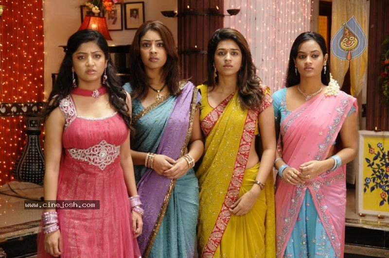 Actress Stills in Nagavalli Movie - 28 / 53 photos