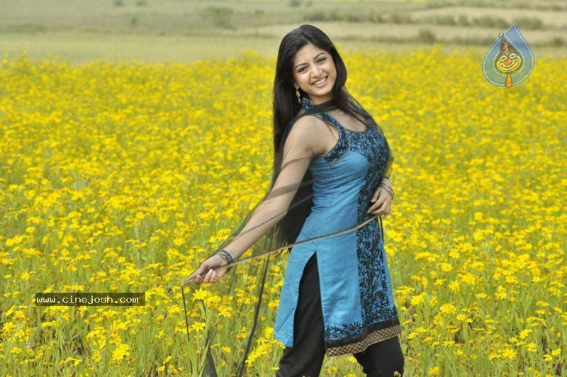 Actress Stills in Nagavalli Movie - 52 / 53 photos