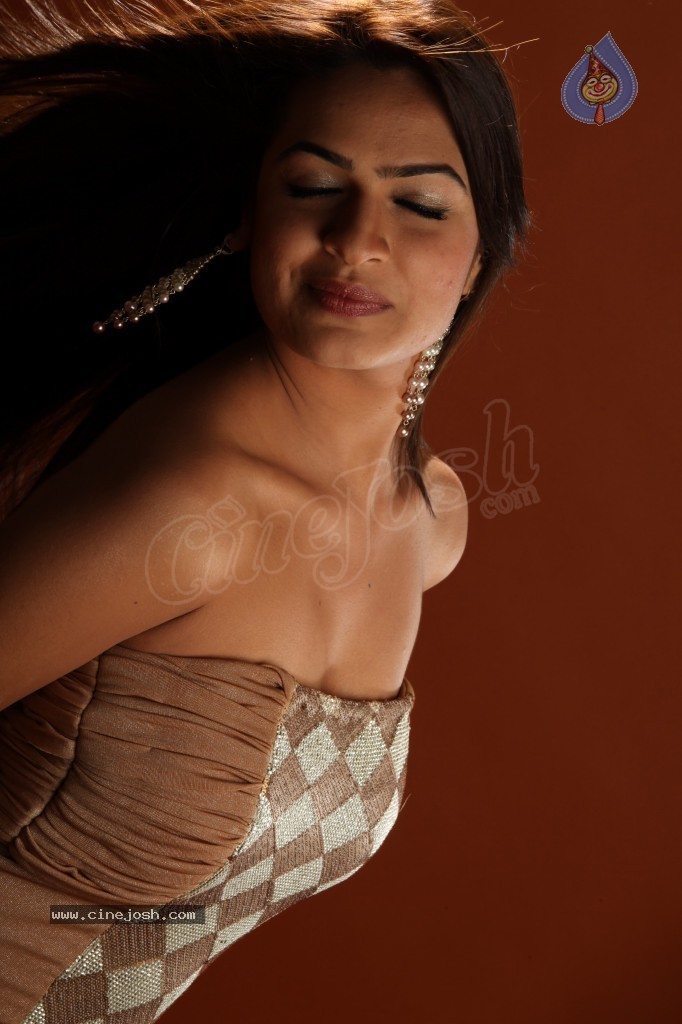 Aditi Agarwal Hot Photo Shoot - 25 / 78 photos