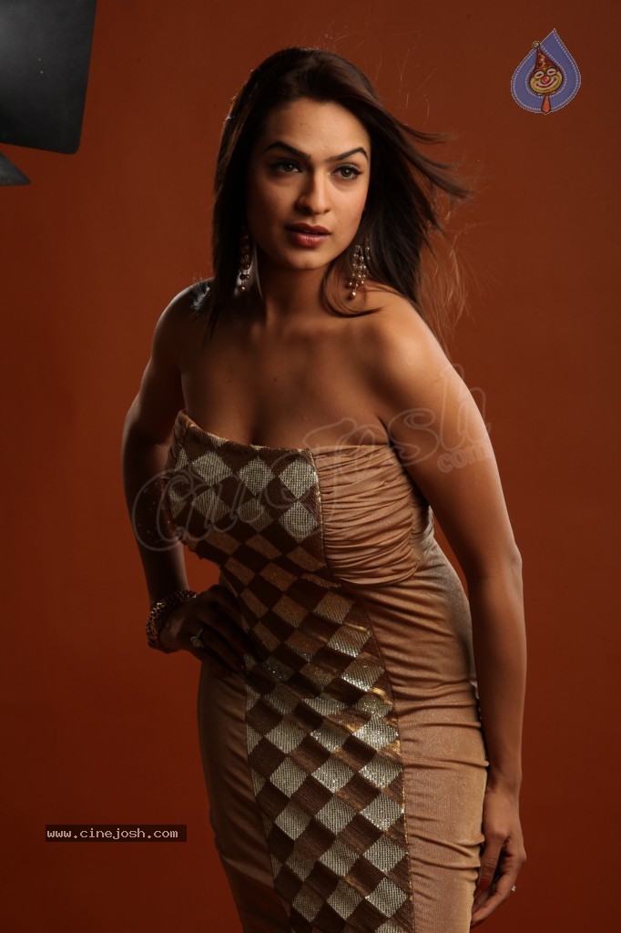Aditi Agarwal Hot Photo Shoot - 29 / 78 photos