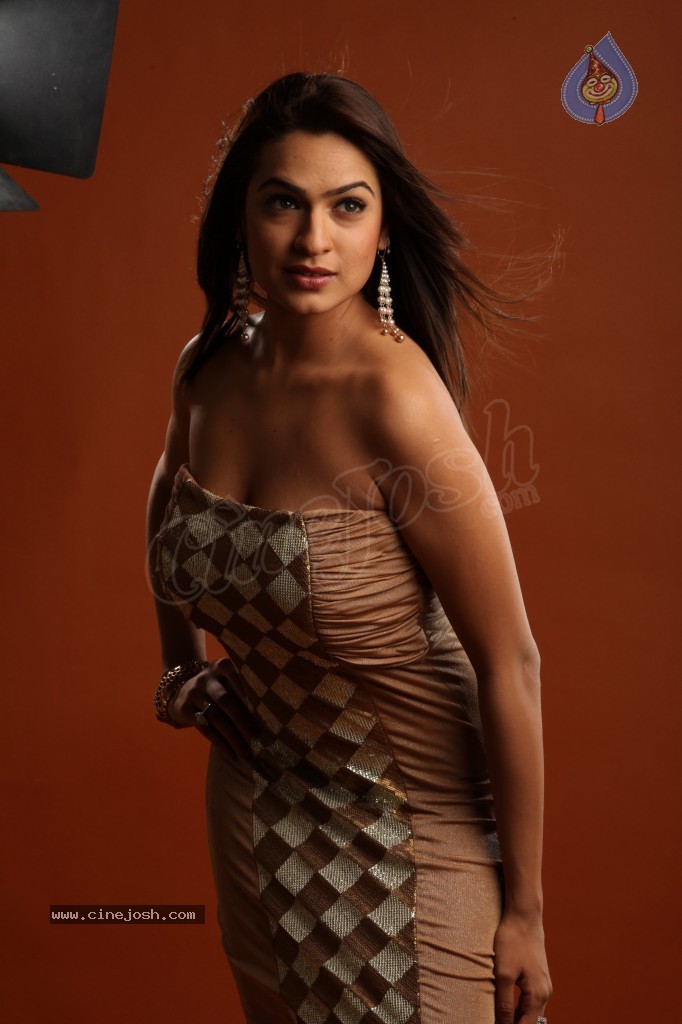 Aditi Agarwal Hot Photo Shoot - 42 / 78 photos