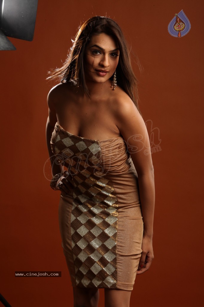 Aditi Agarwal Hot Photo Shoot - 48 / 78 photos