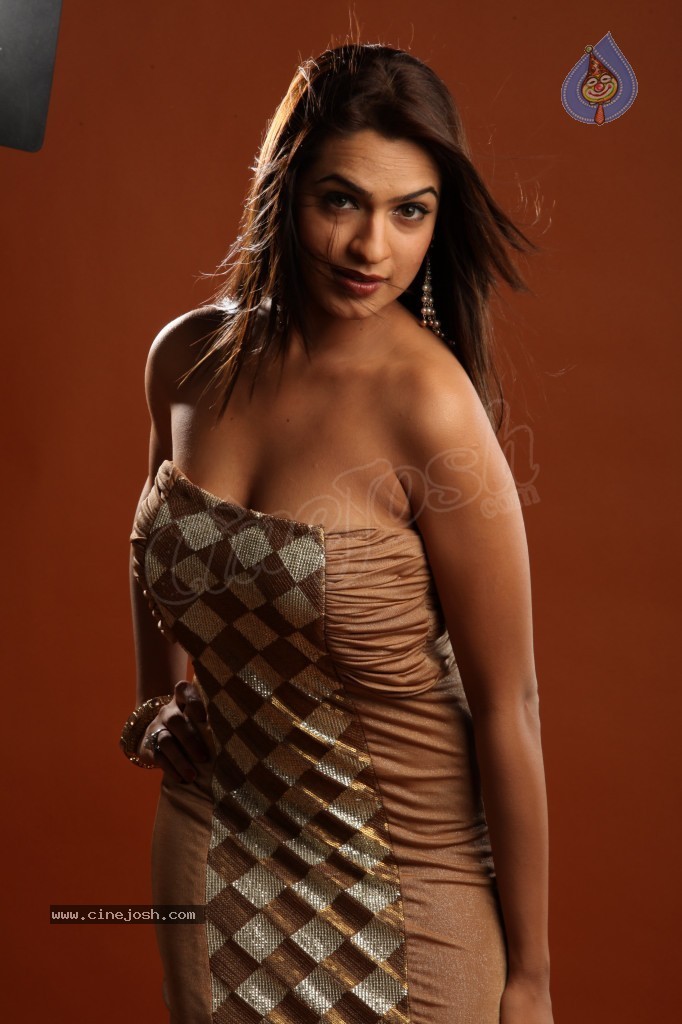 Aditi Agarwal Hot Photo Shoot - 56 / 78 photos