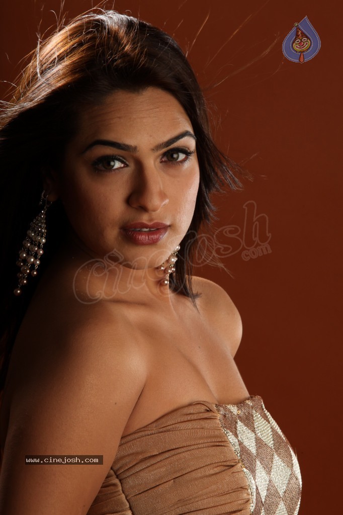 Aditi Agarwal Hot Photo Shoot - 64 / 78 photos
