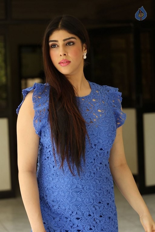 Aditi Singh Latest Gallery - 34 / 40 photos