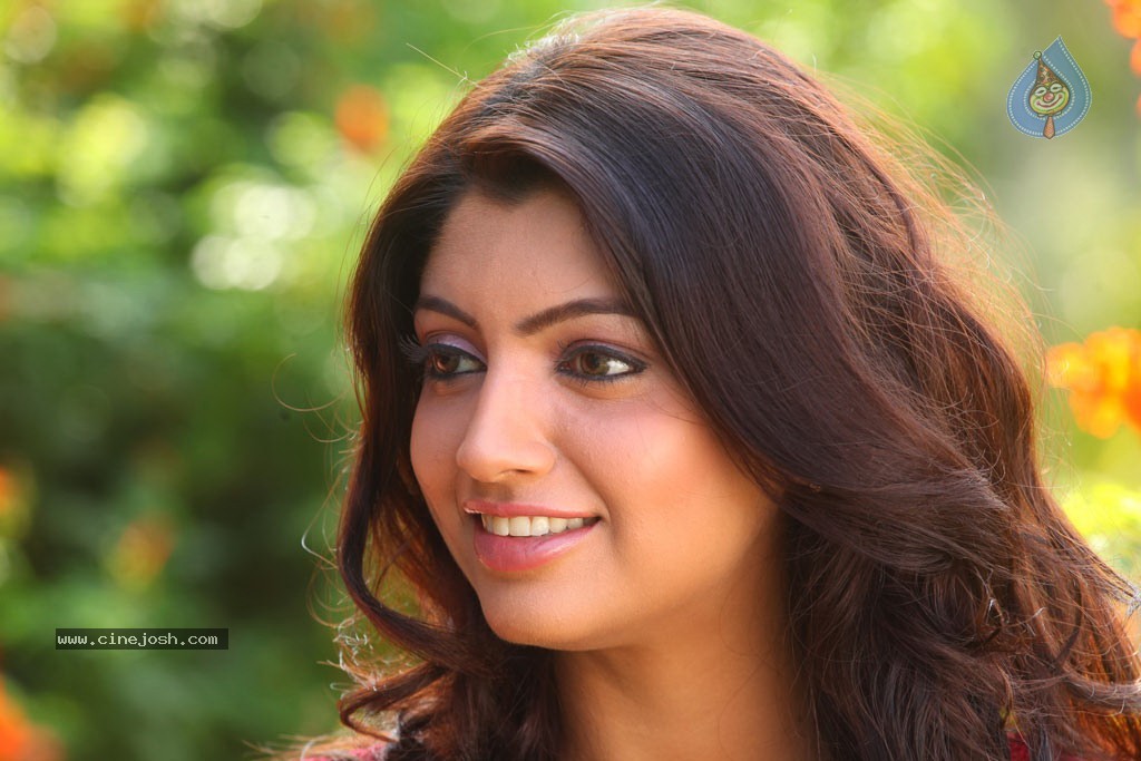 Akanksha Puri New Stills - 8 / 52 photos