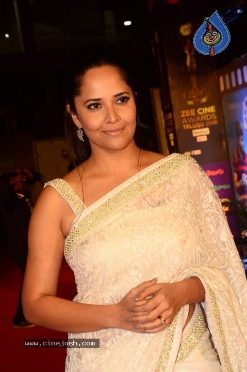 Anasuya at Zee Cine Awards 2018 - 7 / 17 photos