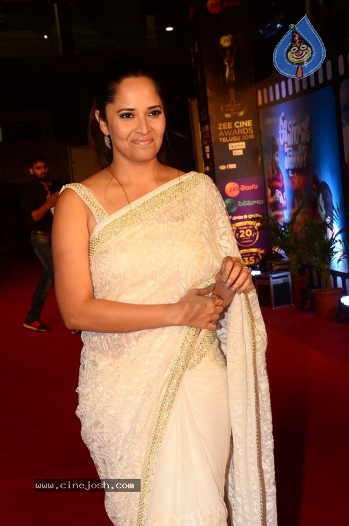 Anasuya at Zee Cine Awards 2018 - 11 / 17 photos