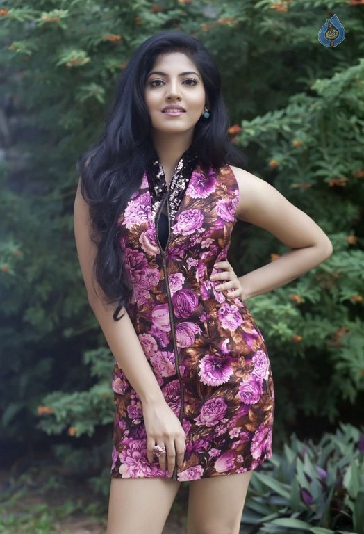 Anaswara Kumar Photos - 15 / 17 photos
