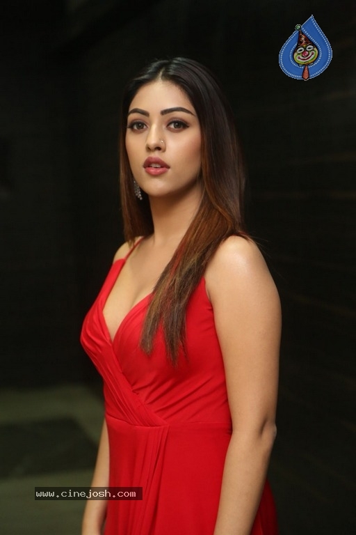 Anu Emmanuel New Photos - 15 / 21 photos