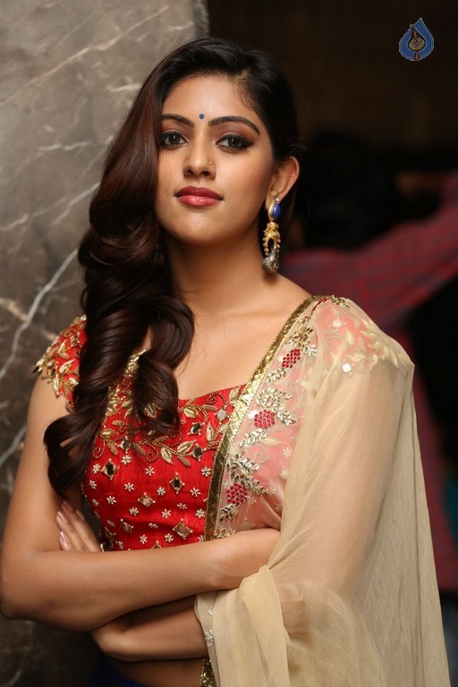 Anu Emmanuel Photos - 34 / 35 photos