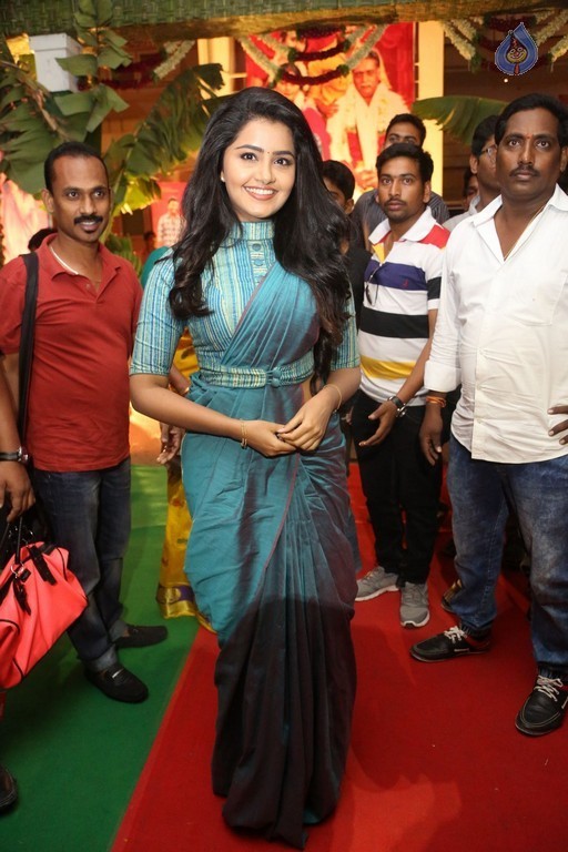 Anupama Parameshwaran New Photos - 15 / 42 photos