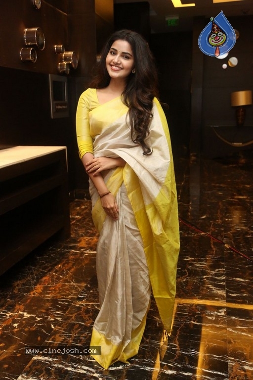 Anupama Parameswaran Gallery - 7 / 19 photos