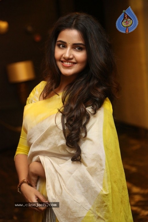 Anupama Parameswaran Gallery - 9 / 19 photos