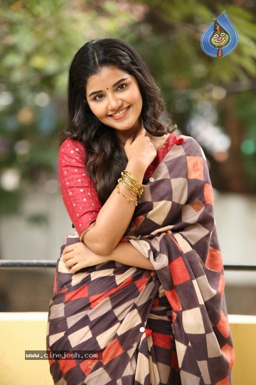 Anupama Parameswaran Interview Photos - 16 / 54 photos