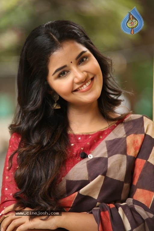 Anupama Parameswaran Interview Photos - 19 / 54 photos