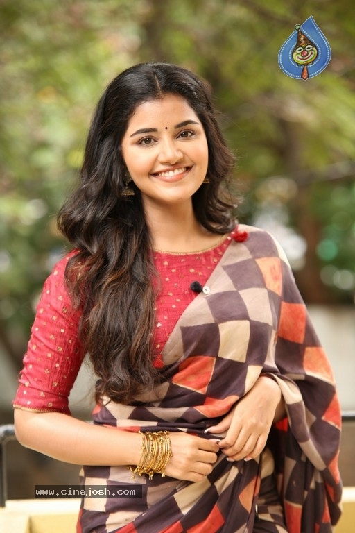 Anupama Parameswaran Interview Photos - 22 / 54 photos