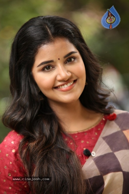 Anupama Parameswaran Interview Photos - 51 / 54 photos