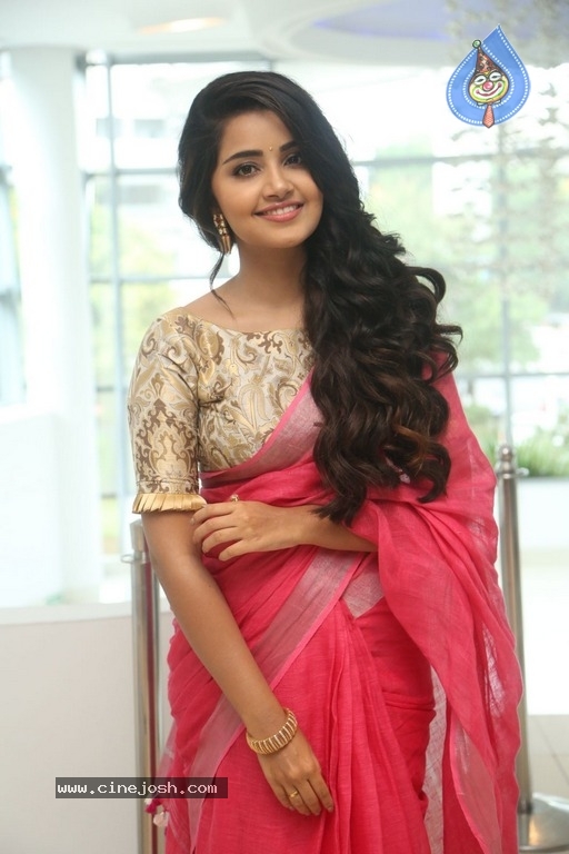 Anupama Parameswaran Latest Gallery - 4 / 21 photos