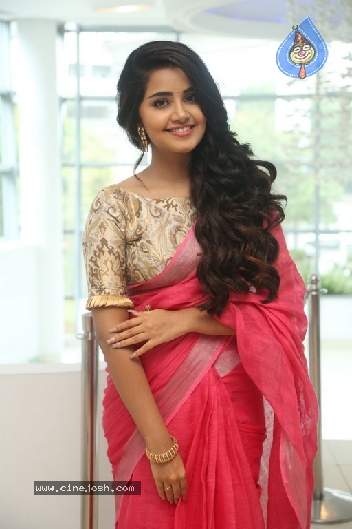 Anupama Parameswaran Latest Gallery - 16 / 21 photos