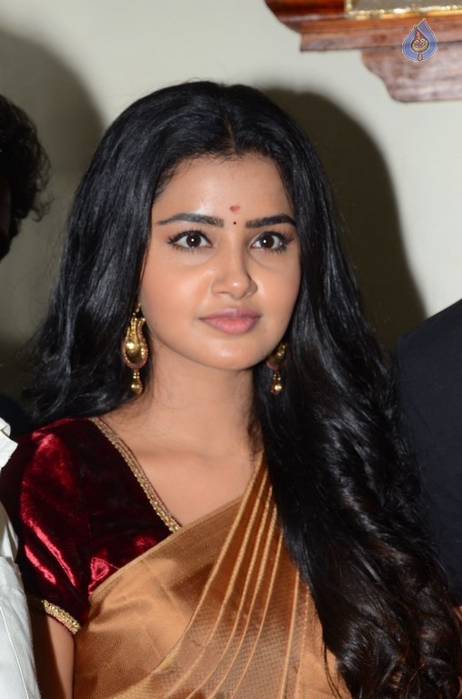 Anupama Parameswaran New Pics - 9 / 21 photos