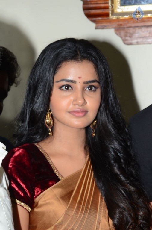 Anupama Parameswaran New Pics - 15 / 21 photos