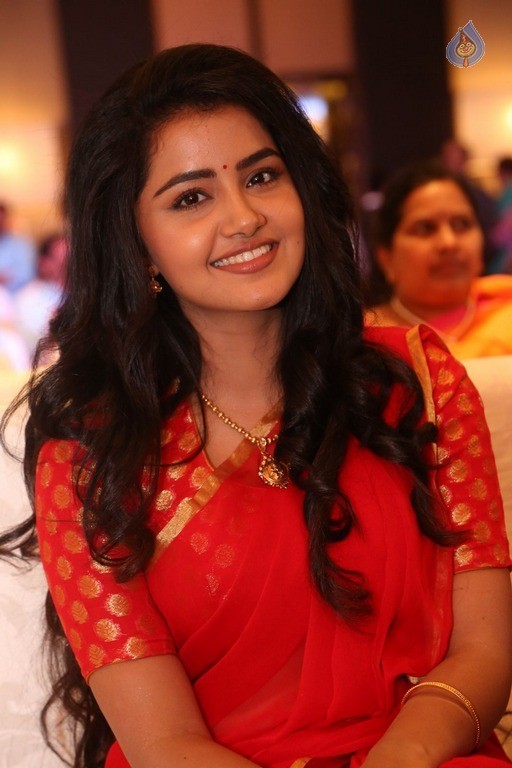 Anupama Parameswaran New Pics - 8 / 60 photos