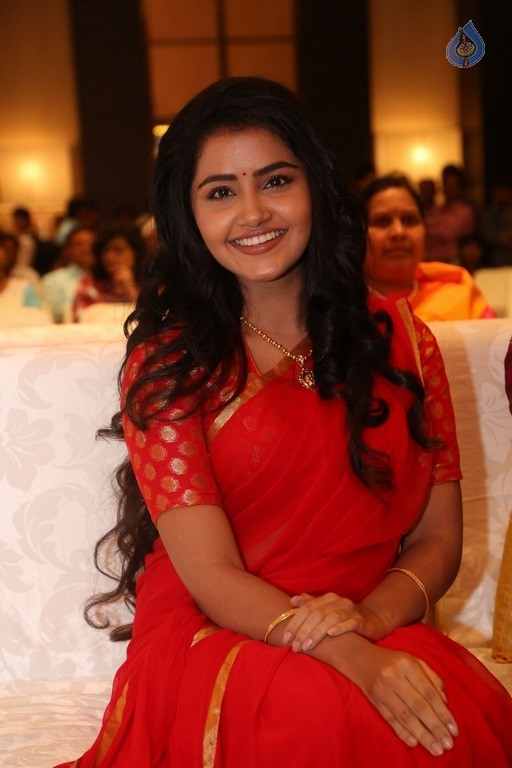 Anupama Parameswaran New Pics - 32 / 60 photos