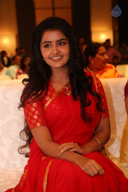 Anupama Parameswaran New Pics - 36 / 60 photos