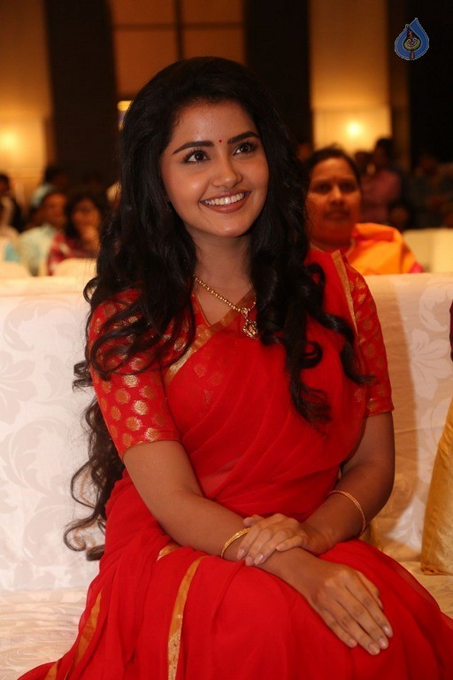 Anupama Parameswaran New Pics - 39 / 60 photos