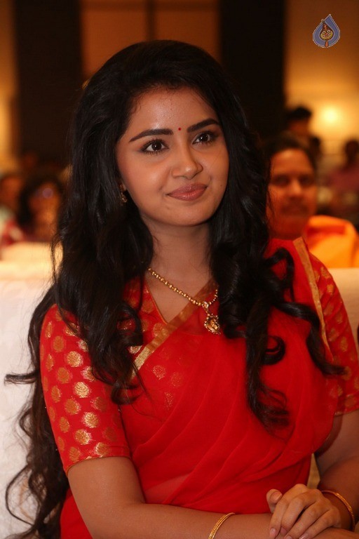 Anupama Parameswaran New Pics - 47 / 60 photos