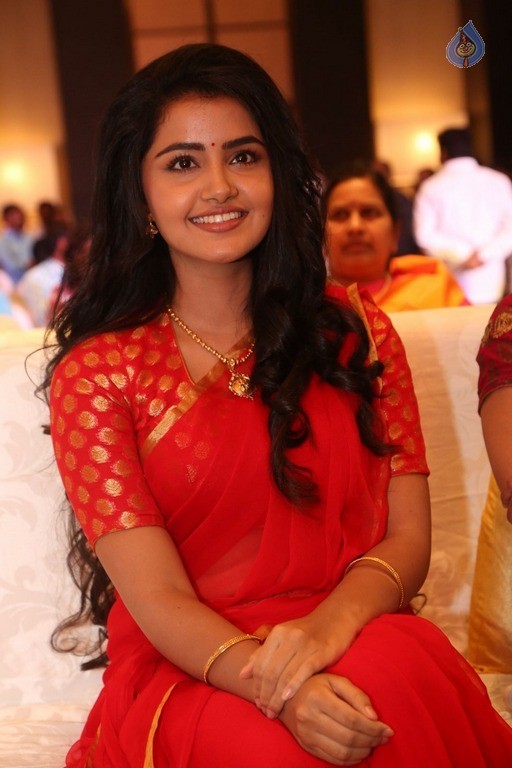 Anupama Parameswaran New Pics - 54 / 60 photos