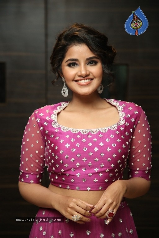 Anupama Parameswaran Photos - 1 / 31 photos