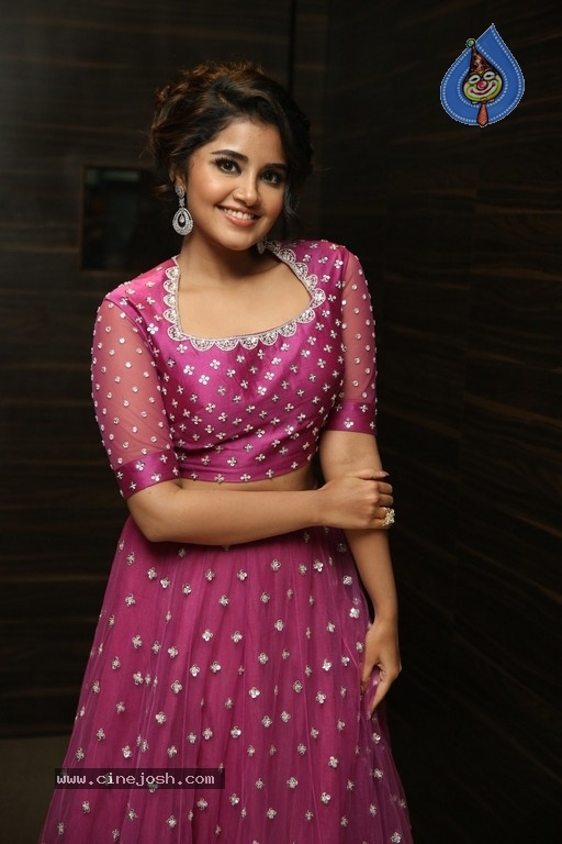 Anupama Parameswaran Photos - 9 / 31 photos