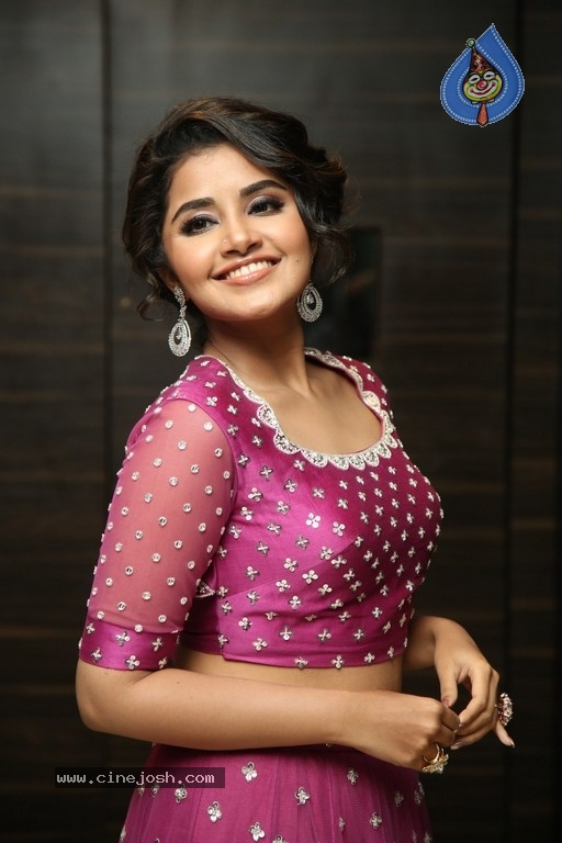 Anupama Parameswaran Photos - 12 / 31 photos