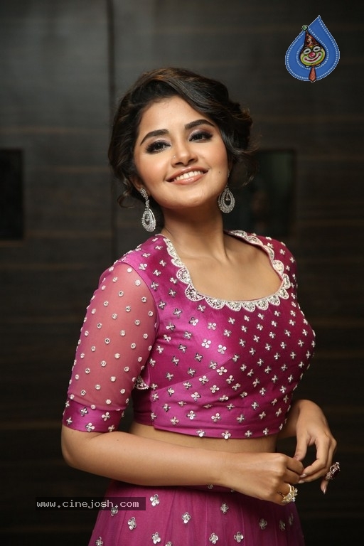 Anupama Parameswaran Photos - 20 / 31 photos