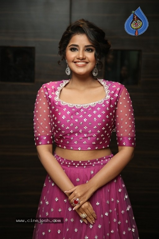 Anupama Parameswaran Photos - 31 / 31 photos