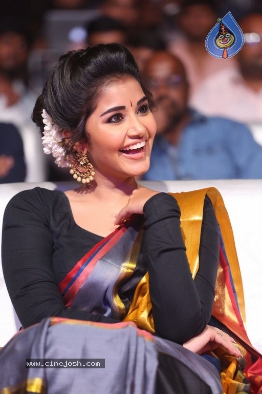 Anupama Parameswaran Tej I Love You Audio Launch - 5 / 41 photos